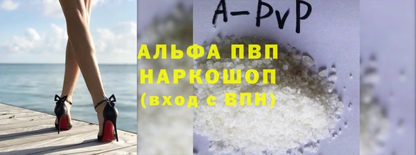 сатива Белокуриха