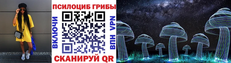 закладки  Воркута  Галлюциногенные грибы GOLDEN TEACHER 