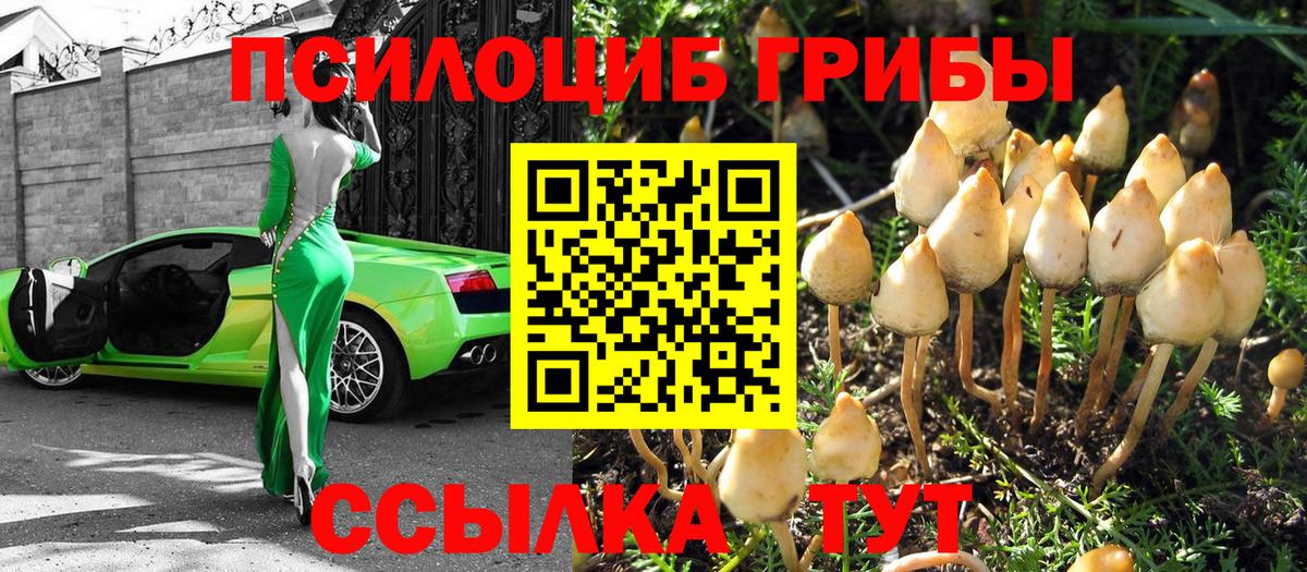 Воркута  Галлюциногенные грибы GOLDEN TEACHER  Вход с VPN 